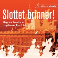 Slottet brinner - Magnus Jacobson