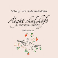 Aðgát skal höfð í nærveru sálar - Sólveig Lára Guðmundsdóttir