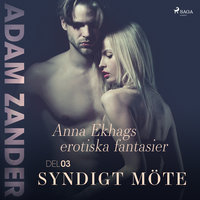 Syndigt möte - Anna Ekhags erotiska fantasier del 3 - Adam Zander