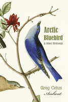 Arctic Bluebird and Other Birdsongs: Ambient Soundscape for Meditation - Greg Cetus