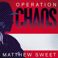 Operation Chaos: The Vietnam Deserters Who Fought the CIA, the Brainwashers, and Themselves - Matthew Sweet