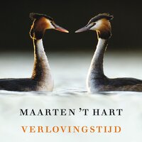 Verlovingstijd: Voorgelezen door Jeroen Willems - Met een nawoord van Maarten 't Hart - Maarten 't Hart