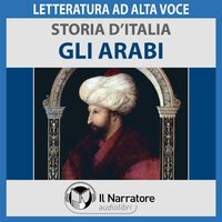 Storia d'Italia - vol. 14 - Gli Arabi - Autori Vari (a cura di Maurizio Falghera)
