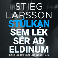 Stúlkan sem lék sér að eldinum - Stieg Larsson