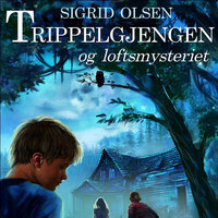 Trippelgjengen og loftsmysteriet - Sigrid Olsen