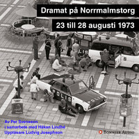 Dramat på Norrmalmstorg - Per Svensson