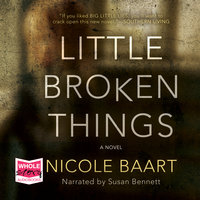 Little Broken Things - Nicole Baart