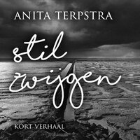 Stilzwijgen - Anita Terpstra