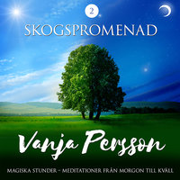 Meditation – Skogspromenad - Vanja Persson