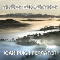 Aigües encantades - Joan Puig i Ferrater
