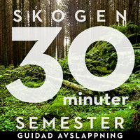 30 minuter semester - SKOGEN - Ola Ringdahl