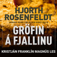 Gröfin á fjallinu - Hans Rosenfeldt, Michael Hjorth