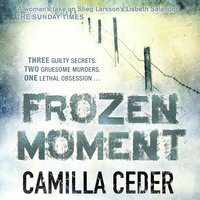 Frozen Moment: 'A good psychological crime novel that will appeal to fans of Wallander and Stieg Larsson' CHOICE - Camilla Ceder
