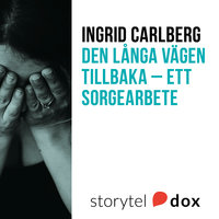 Den långa vägen tillbaka - ett sorgearbete - Ingrid Carlberg