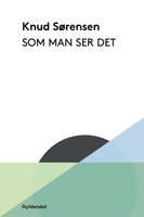 Som man ser det: Udvalgte noveller - Knud Sørensen