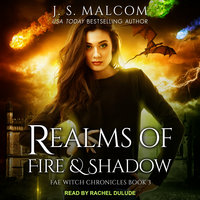 Realms of Fire and Shadow: Fae Witch Chronicles Book 3 - J. S. Malcom