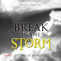 Break in the Storm - Sherryl D. Hancock
