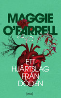 Ett hjärtslag från döden - Maggie O’Farrell
