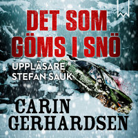 Det som göms i snö - Carin Gerhardsen