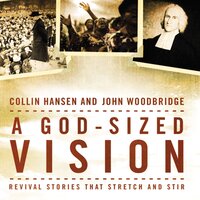A God-Sized Vision: Revival Stories that Stretch and Stir - Collin Hansen, John D. Woodbridge