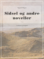 Sidsel og andre noveller - Sigurd Elkjær
