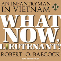 What Now, Lieutenant? - Robert O. Babcock