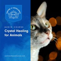 Crystal Healing for Animals - Centre of Excellence
