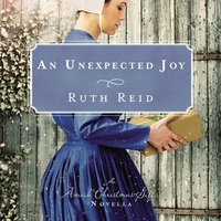 An Unexpected Joy: An Amish Christmas Gift Novella - Ruth Reid