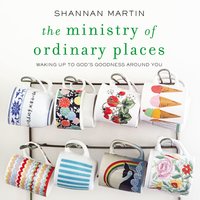 The Ministry of Ordinary Places: Waking Up to God's Goodness Around You - Shannan Martin