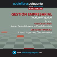 Gestión Empresarial - Teodoro Wigodski