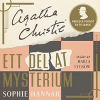 Ett delat mysterium - Sophie Hannah