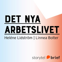 Det nya arbetslivet - Heléne Lidström, Linnea Bolter