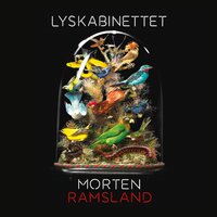 Lyskabinettet - Morten Ramsland