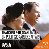 Thatcher & Reagan - En politisk kärleksaffär - Bokasin