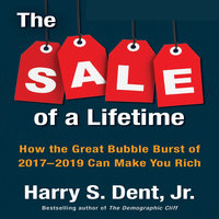 The Sale a Lifetime: How the Great Bubble Burst of 2017-2019 Can Make You Rich - Harry S. Dent