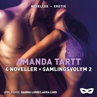 4 noveller - Samlingsvolym 2 - Amanda Tartt