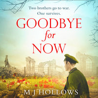 Goodbye for Now - M.J. Hollows