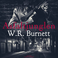 Asfaltjunglen - W. R. Burnett