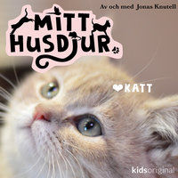 Mitt husdjur: Katt - Jonas Knutell