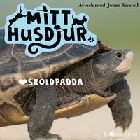 Mitt husdjur: Sköldpadda - Jonas Knutell