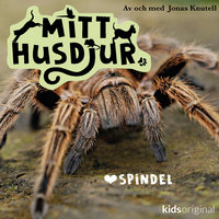 Mitt husdjur: Spindel - Jonas Knutell