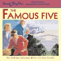 Five Fall Into Adventure & Five Get Into Trouble - Enid Blyton