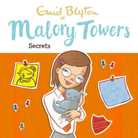 Secrets: Book 11 - Enid Blyton