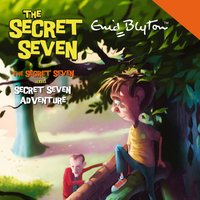 The Secret Seven & Secret Seven Adventure - Enid Blyton