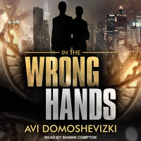 In The Wrong Hands - Avi Domoshevizki
