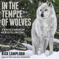In the Temple of Wolves: A Winter's Immersion in Wild Yellowstone - Rick Lamplugh
