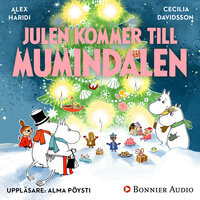 Julen kommer till Mumindalen - Tove Jansson, Cecilia Davidsson