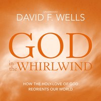 God in the Whirlwind: How the Holy-Love of God Reorients Our World - David F. Wells