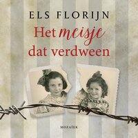 Het meisje dat verdween - Els Florijn