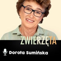 Podcast - #01 Zwierz też człowiek: O jeden stopień za dużo - Dorota Sumińska